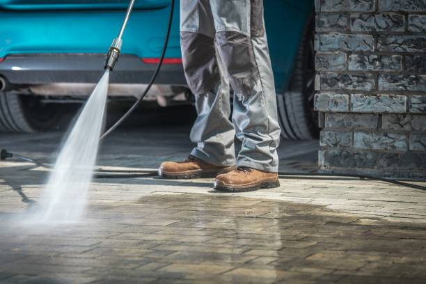 Best Dumpster Area Cleaning  in Richardson, TX